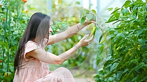 Young woman with basket of greenery and vegetables in the greenhouse. Harvesting time