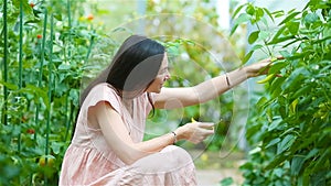 Young woman with basket of greenery and vegetables in the greenhouse. Harvesting time