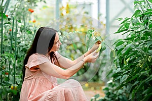 Young woman with basket of greenery and vegetables in the greenhouse. Harvesting time