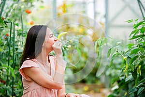 Young woman with basket of greenery and vegetables in the greenhouse. Harvesting time