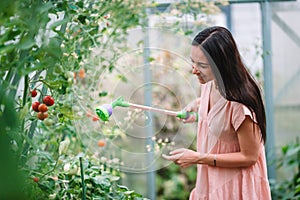 Young woman with basket of greenery and vegetables in the greenhouse. Harvesting time