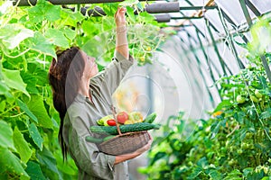 Young woman with basket of greenery and vegetables in the greenhouse. Harvesting time