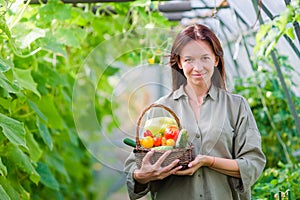 Young woman with basket of greenery and vegetables in the greenhouse. Harvesting time