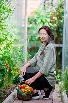 Young woman with basket of greenery and vegetables in the greenhouse. Time to harvest.