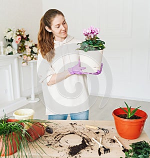 A young woman in a beige hoodie and purple rubber gloves replants indoor plants in new pots.