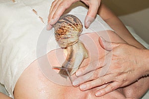 Young woman is being treated with a snail in beauty salon, close-up