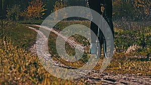 Young Woman on Bicycle Rides Along Green Forest Path in Summer Day, Slow Motion