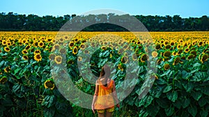 Young woman in the big field of sunflowers