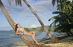 Young woman in bikini laying on leaning palm tree, Las Galeras b