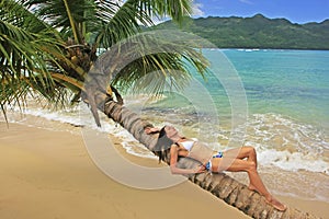 Young woman in bikini laying on leaning palm tree at Rincon beach photo