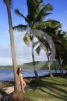 Young woman in bikini standing by palm tree, Las Galeras beach photo