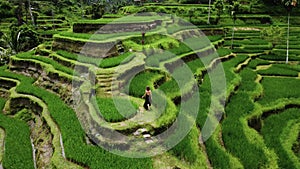 Young woman in black dress walks in rice terrace
