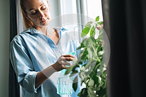 Young woman in blue shirt with spray with water takes care of houseplant in room at home