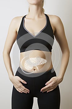 young woman body with pancreas visualisation