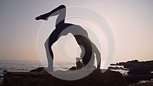 Young woman in bodysuit practicing yoga with cat on the beach above sea at amazing sunrise. Fitness, sport, yoga and
