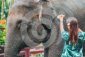 A young woman in bright clothes washes an elephant, watering it with a hose. Rear view. In the background, Park vegetation, Close