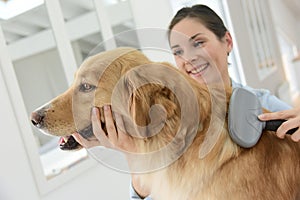 Young woman brushing dog's hair