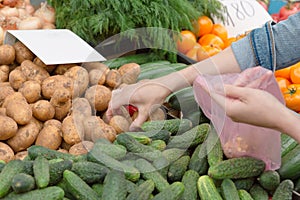 Young woman buying vegetables on stall at the local farmer`s market