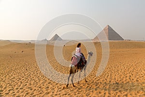 Young woman on a camel at the pyramids