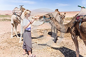 Young woman with a camels in Morocco.