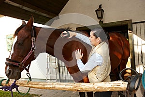 Young woman caressing horse