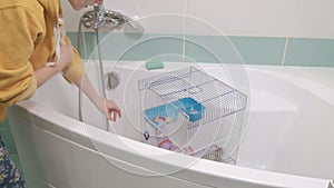 Young woman caring for a pet, rodent, rat, washes and cleans the cage in the bathroom