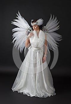 Young woman in carnival costume with wings .