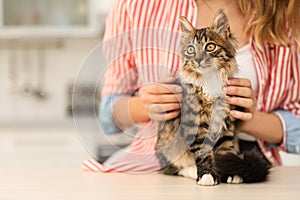 Young woman with cat at home. Owner and pet