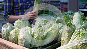 A young woman chooses a chinese cabbage in a supermarket.