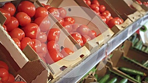 A young woman chooses fresh tomatoes in the produce section of a grocery store and puts them in a plastic bag