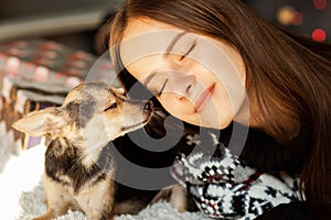 A young woman in a Christmas sweater with a small dog on the background of gifts on new year`s eve. The concept of love, family,