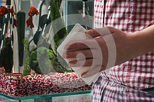 Young woman cleaning aquarium with beta fish at home.