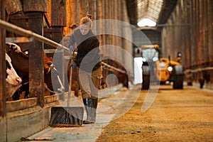 Young Woman Cleaning Cow Shed at Farm