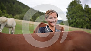 Young woman cleaning horse back with brush, only her head visible from behind the animal