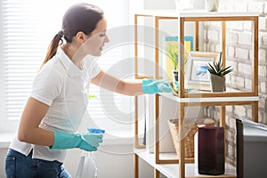 Young Woman Cleaning The Shelf In House