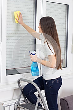 Young Woman Cleaning Windows Glass