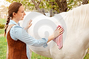 young woman cleans a white horse. Pink rag, microfibre to clean wool. Dirty, grooming. Care pet, love, friendship, trust