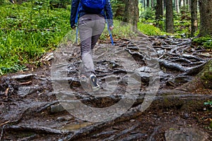 Young woman climbing on forest trail with roots