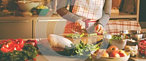 Young Woman Cooking in the kitchen. Healthy Food for Christmas stuffed duck or Goose