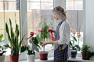 Young woman cultivating home plants