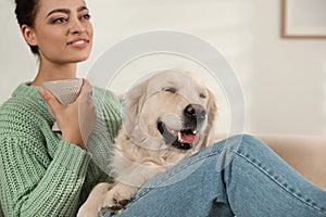 Young woman with cup of drink and Golden Retriever on sofa at home. Adorable pet