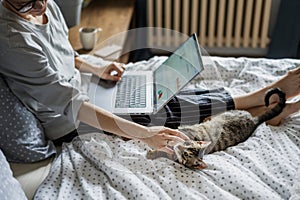 Young woman with cute gray kitten working on a project using laptop in bed at home