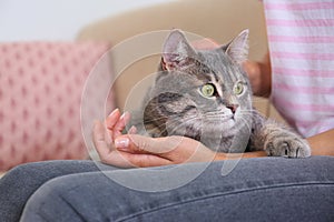 Young woman and cute gray tabby cat on couch indoors, closeup. Lov