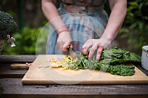 Young woman cutting mangold leaves for a salad