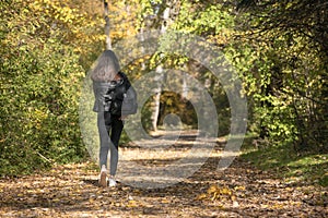 Young woman with dark hair walking in the park. Lonely walk through the woods. Girl outdoor. Back view