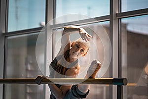 Young woman doing stretching on ballet barre.