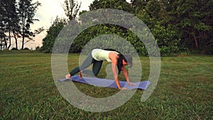 Young woman doing yoga exercise in green park