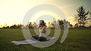 Young woman doing yoga exercise in green park