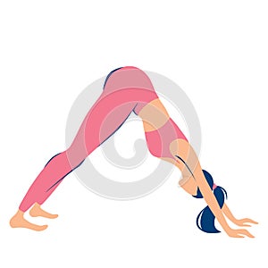 Young woman in Downward Facing dog pose. Illustrations for yoga  fitness  beauty  spa  wellness  natural products  cosmetics  body