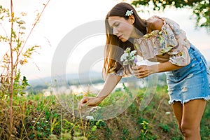 Young woman dressed in summer dress gather meadow flowers